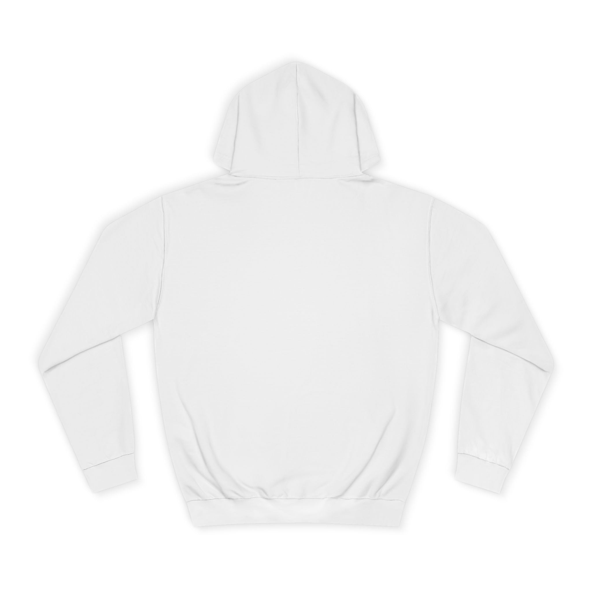 Briefing Attorney Hoodie