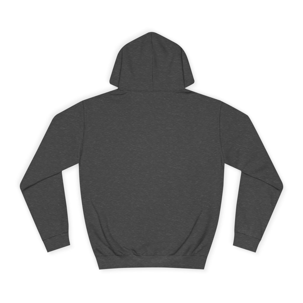 Briefing Attorney Hoodie
