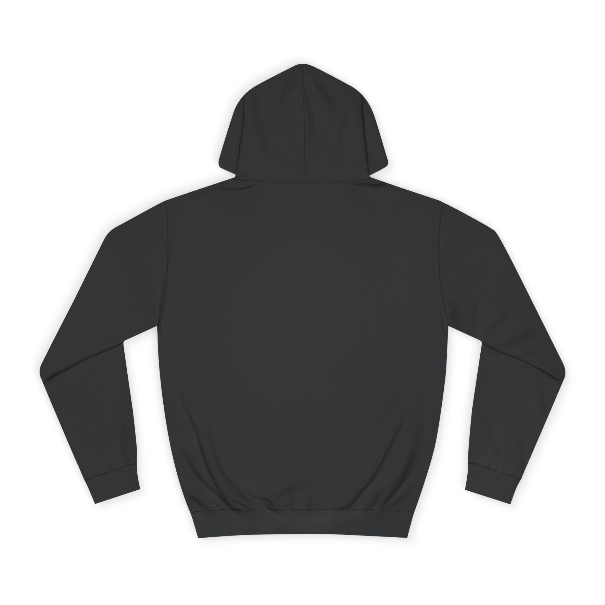 Briefing Attorney Hoodie